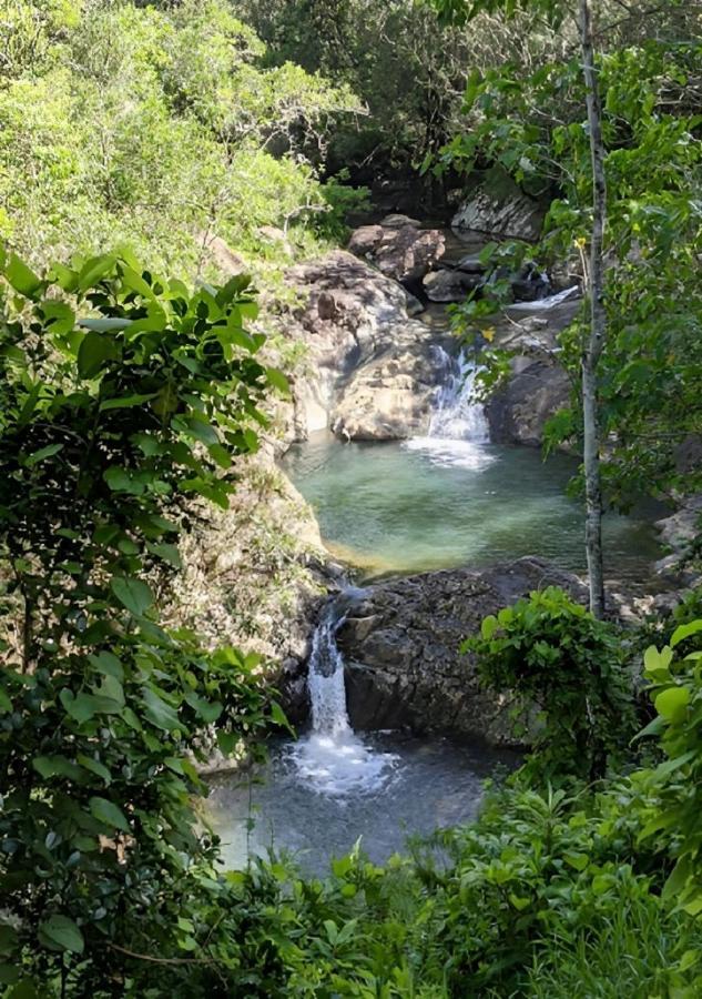 Evasion Bungalow Tropical Spa Sarraméa Eksteriør bilde