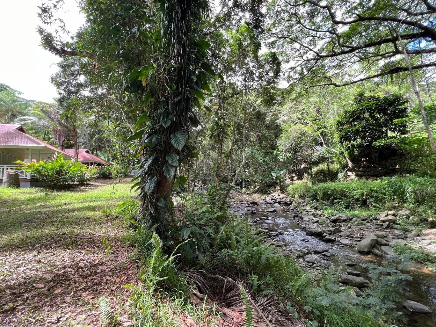 Evasion Bungalow Tropical Spa Sarraméa Eksteriør bilde