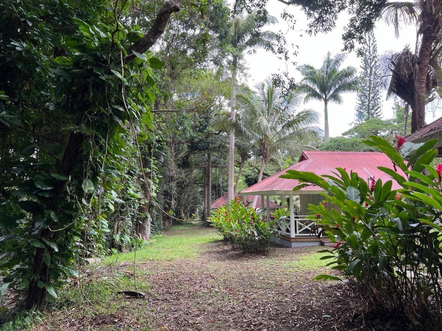 Evasion Bungalow Tropical Spa Sarraméa Eksteriør bilde